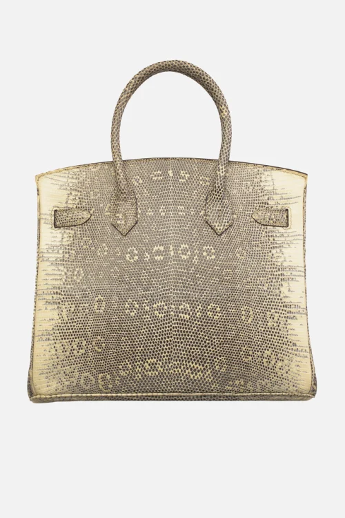 Hermes Birkin 30 Shiny Ombre Salvator Lizard PHW