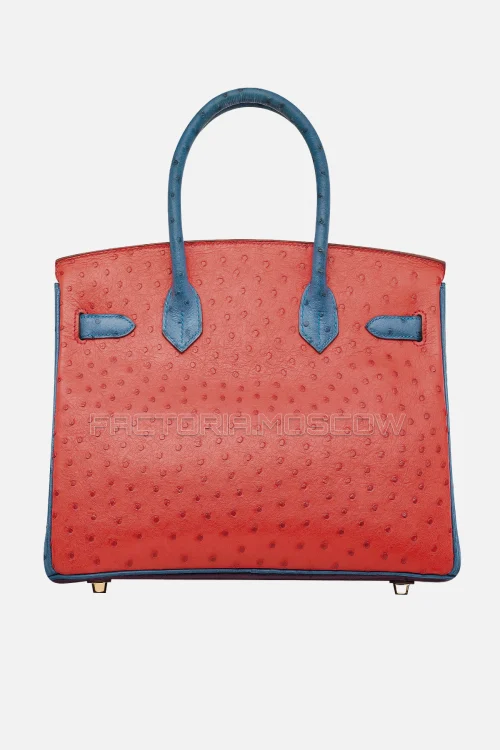 Hermes Birkin 30 Violine, Rouge Vif, Bleu Roi Ostrich With Brushed GHW