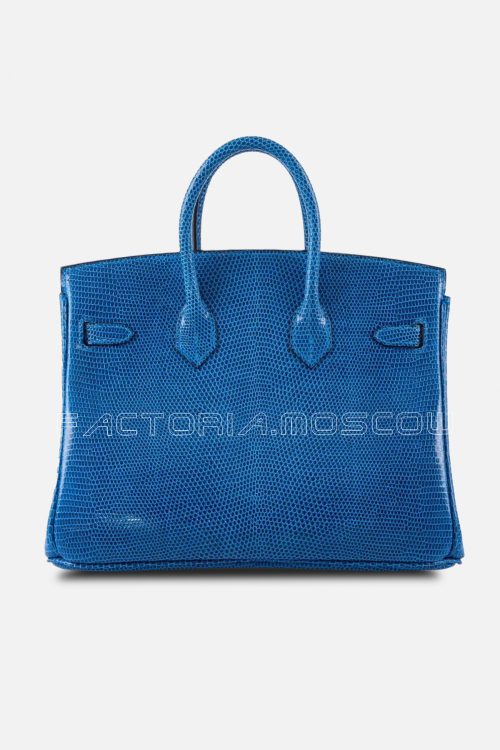 Hermes Birkin 25 Shiny Mykonos Niloticus Lizard PHW