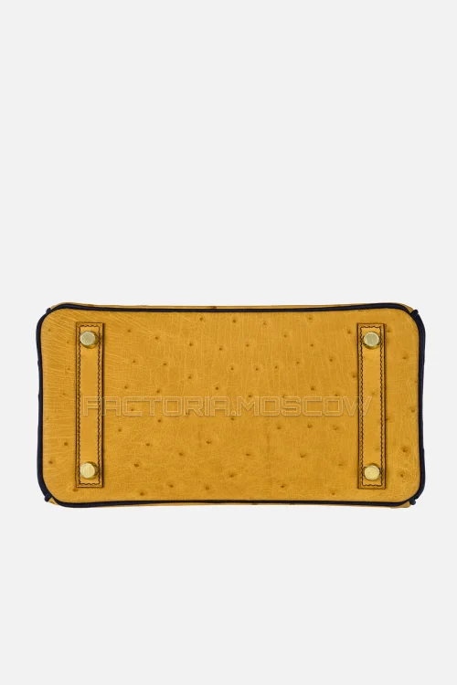 Hermes Birkin 25 Safran/Indigo Ostrich GHW