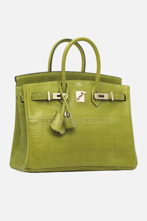 Hermes Birkin 25 Shiny Vert Anis Niloticus Lizard PHW