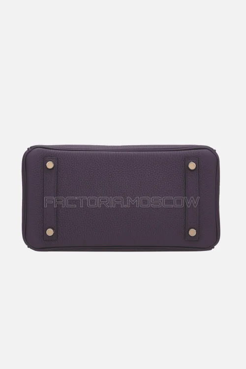 Hermes Birkin Touch 25 Matte Prunoir Alligator/Raisin Togo RGHW