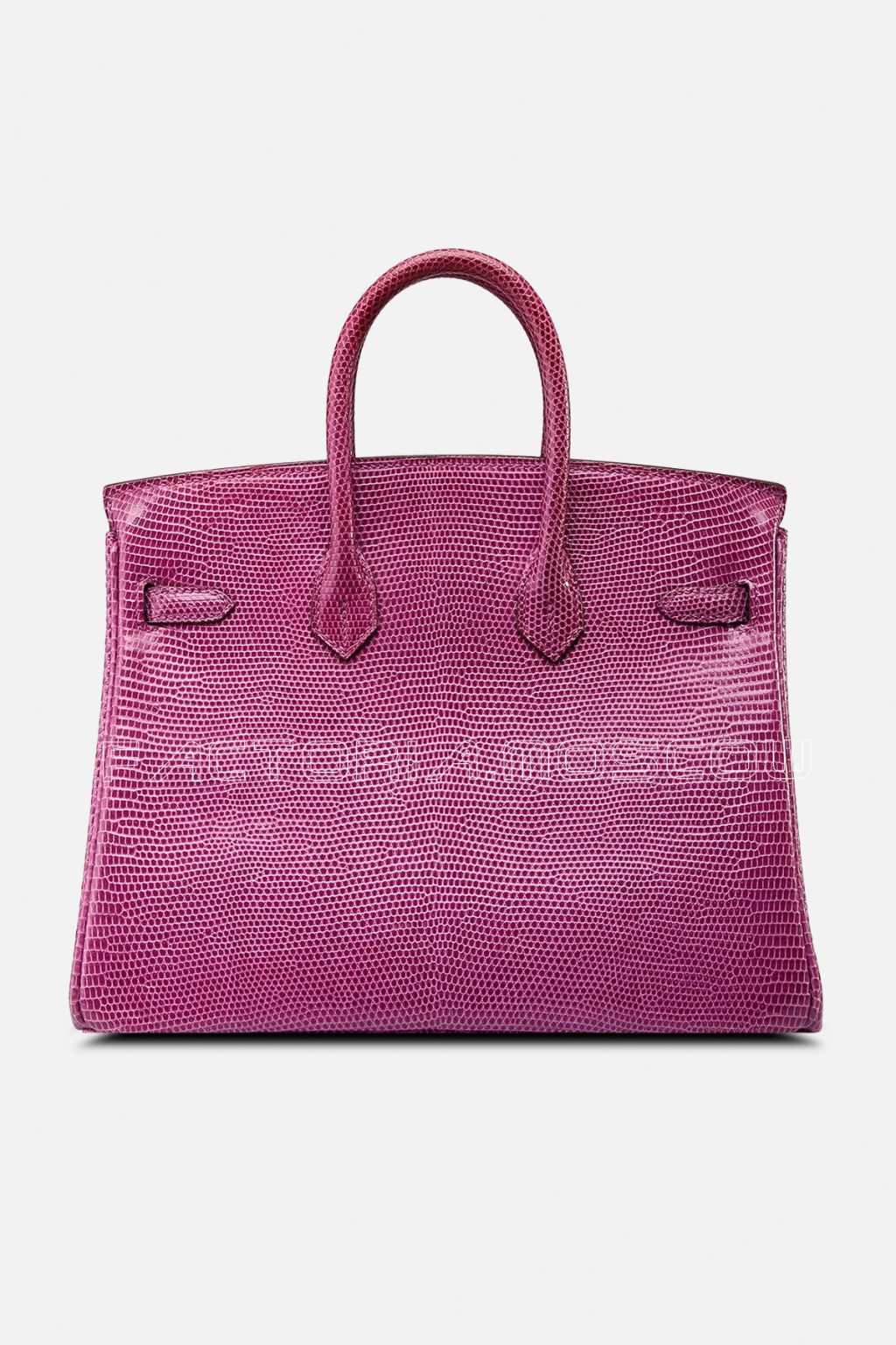 Hermes Birkin 25 Violine Lizard PHW