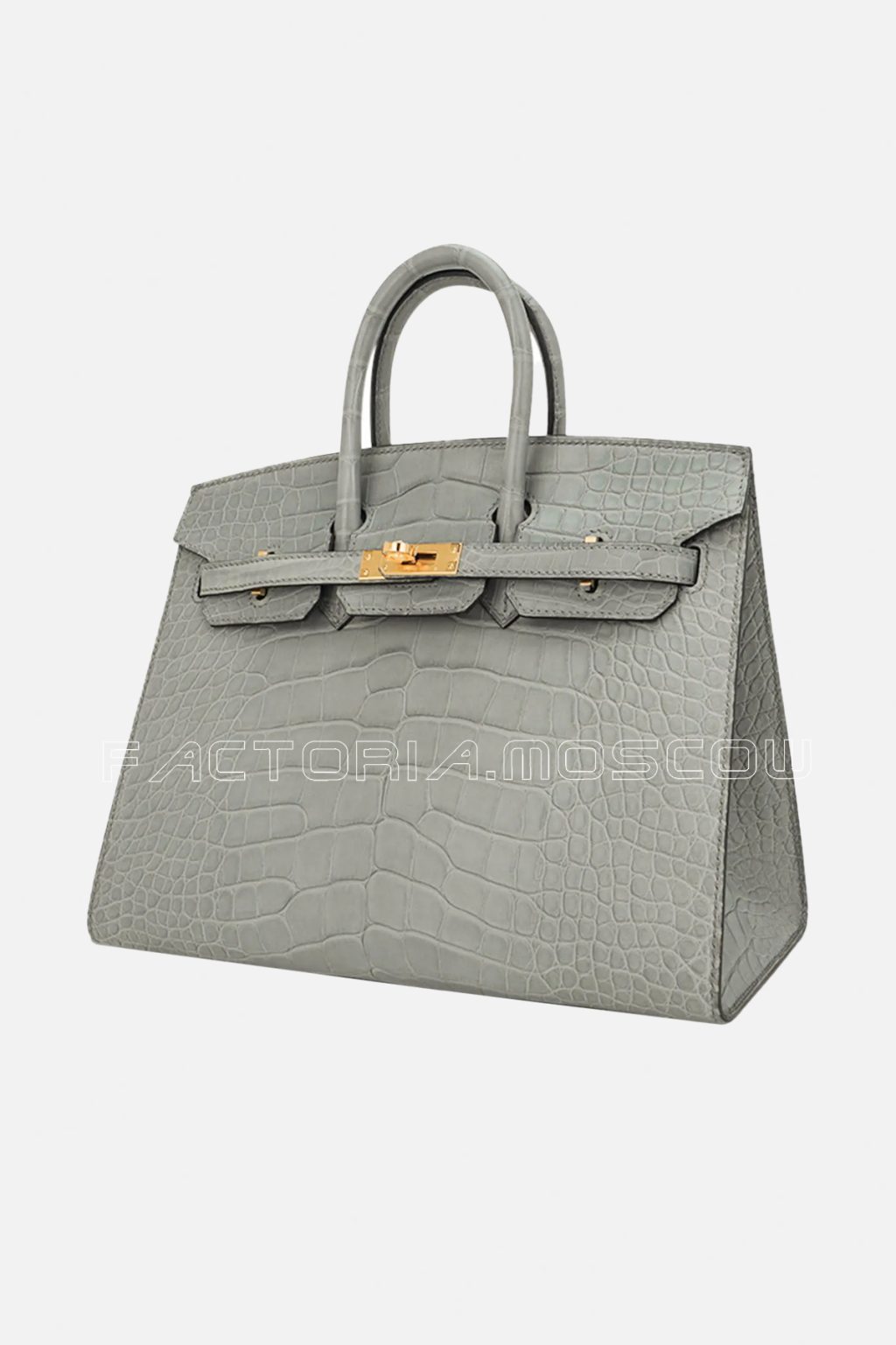 Hermes Birkin Sellier 25 Alligator Matte Gris Ciment GHW