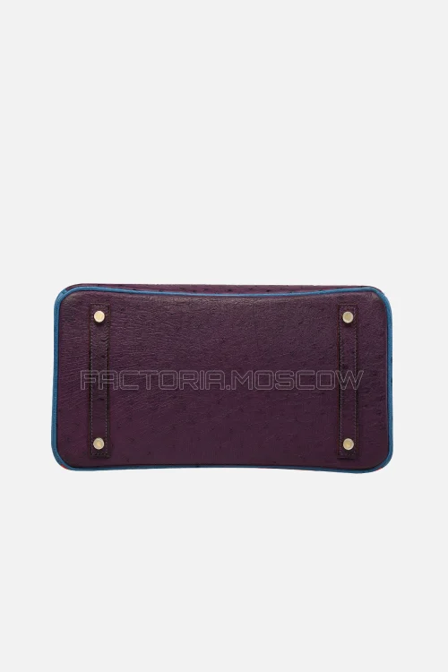 Hermes Birkin 30 Violine, Rouge Vif, Bleu Roi Ostrich With Brushed GHW