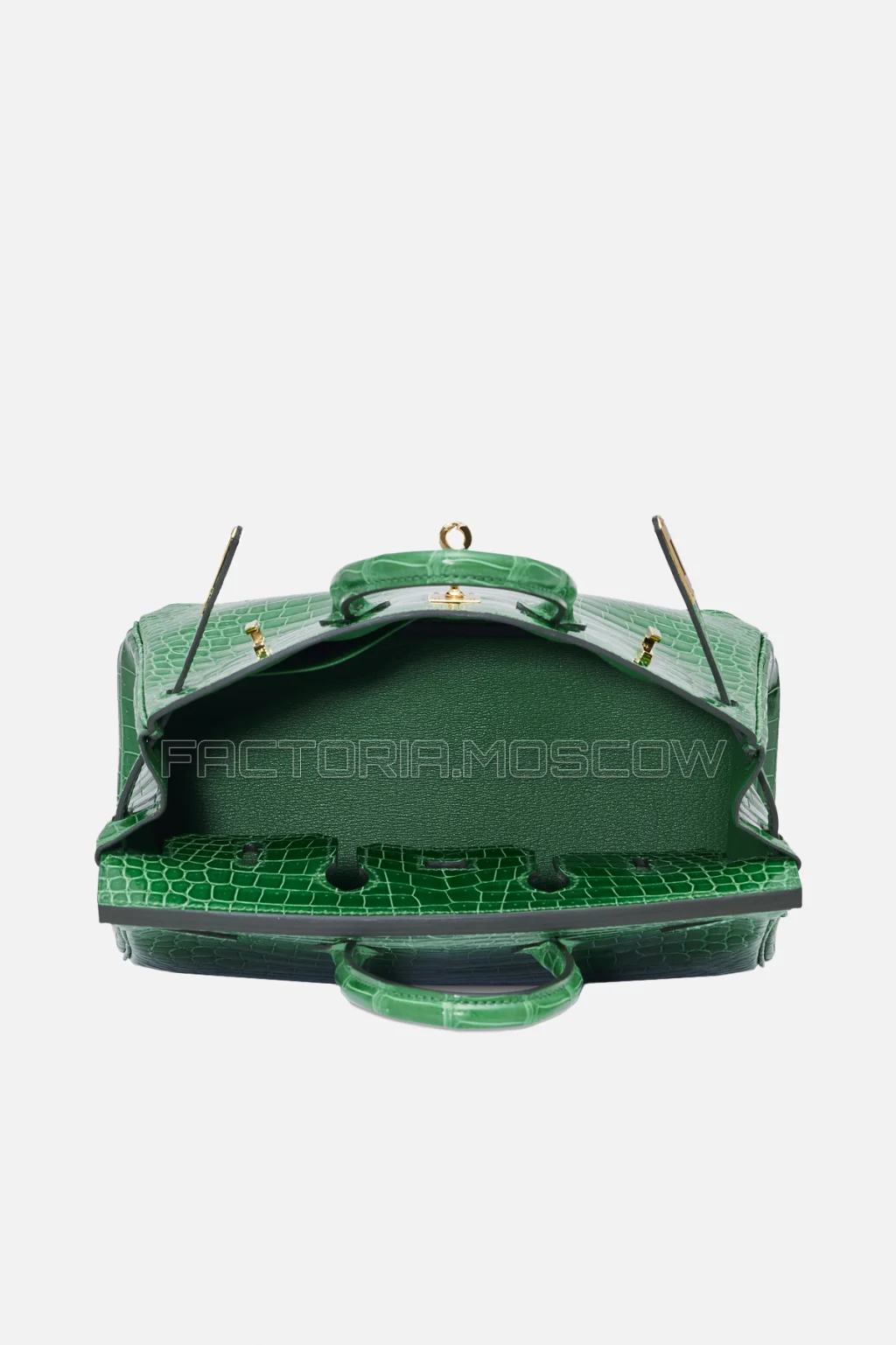 Hermes Birkin 25 Shiny Cactus Porosus Crocodile GHW