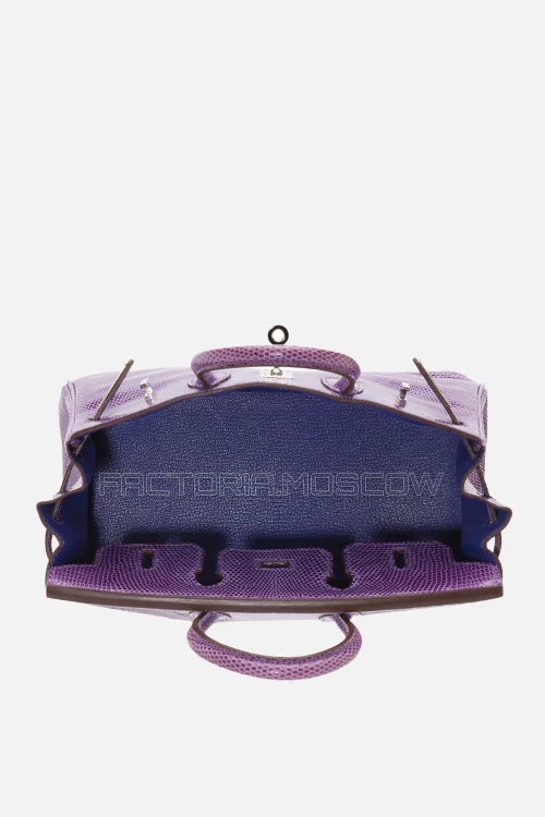 Hermes Birkin 25 Shiny Violet Niloticus Lizard PHW