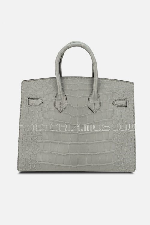 Hermes Birkin Sellier 25 Alligator Matte Gris Ciment GHW