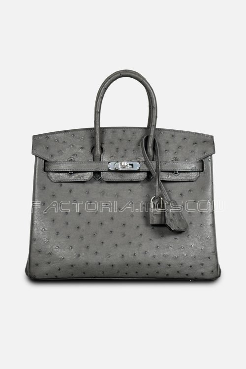 Hermes Birkin 25 Ostrich Colour Gris Etain PHW Hermes Birkin 25 Ostrich Colour Gris Etain PHW
